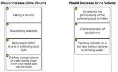 23b-12. Indicate whether each of the following would increase or decrease urine volume.