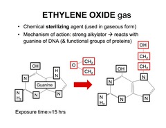 Answer: C Ethylene oxide