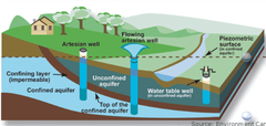 Artesian wells may be nonflowing.
-True

-False