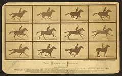 As Eadweard Muybridge's experiments with motion showed