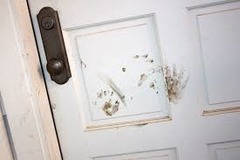Both the front door and the refrigerator door have (its, it's, their) surface covered with filthy hand marks.