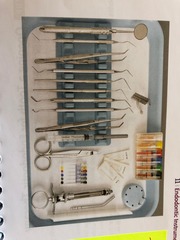 Endodontic (RCT) Tray Set-Up