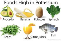 Foods high in potassium:
