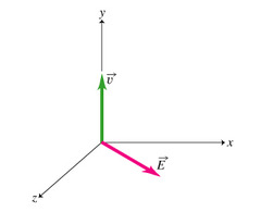 G)at a +45∘ angle in the xz-plane