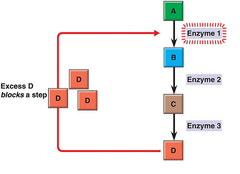 Gene regulation