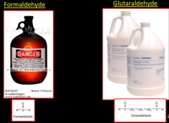 Glutaraldehyde (Cidex)
