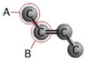 How many hydrogen atoms can be attached to carbon B?