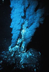 Hydrothermal Vents and Black Smokers
