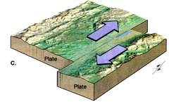 Identify the plate boundary in the image.
 Convergent
 Seafloor spreading
 Transform
 Divergent