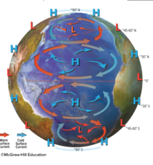 in the Northern Hemisphere warm currents tend to flow from the ____________. In the Southern Hemisphere cold currents tend to flow from the ________________.
