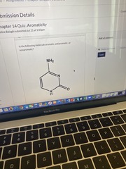 Is the following molecule aromatic, anti aromatic, or nonromantic?
