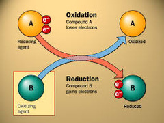 Is the release of an electron from an electron acceptor molecule oxidation or reduction?