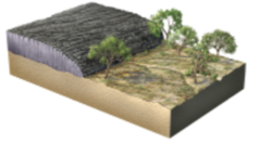 is younger than the landscape surface partially covered by the lava flow