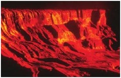 Long, thin lava flows are typically produced by: