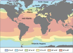 Look at the diagram of sea-surface temperatures.
In which of the following areas would you expect to find the highest salinity?