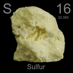 Major sources of dietary sulfur (S):