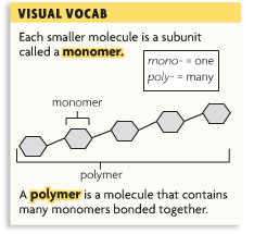 monomer