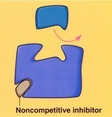 Non-Competitive Inhibitors