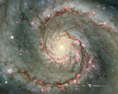 Notice the well-defined spiral arms in this photograph of the galaxy M51. What makes the spiral arms so much brighter than regions between the arms?