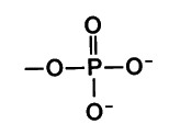 phosphate group