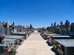 the cemetery