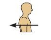 The shoulder blade is on the anterior/posterior side of the body.