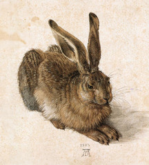 This German artist's naturalistic depiction A Young Hare was created using a combination of watercolor and gouache highlighting.