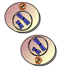 This image depicts a view of _____ during meiosis.