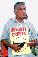 This Mexican-American civil rights
leader was born in Arizona in 1927 and
founded the United Farm Workers of
America. (Last name)