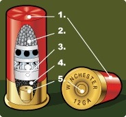 What are the 5 components of this shot shell?
