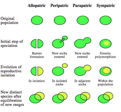What are the four models of speciation?