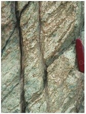 What feature is displayed as the two prominent, vertical lines cutting across the metamorphic rock in the image?