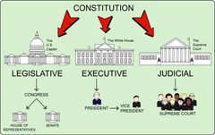 What is a major purpose of the judicial branch of government?