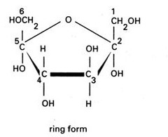 What is this monomer?