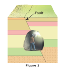 What kind of fault is visible in Figure 1?
(see pic)

-reverse fault
-normal fault
-left-lateral strike-slip fault
-right-lateral strike-slip fault
-thrust fault