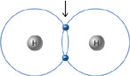What type of bond is joining the two hydrogen atoms?