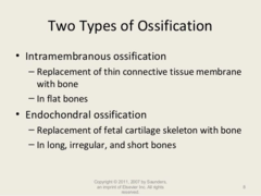 What type of ossfication produces most other bones like veterbrae, ribs, scapulae, pelvic bones, limb bones and some parts of the skull?