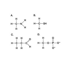 Which molecule shown above can form a cross linkage?