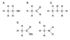 Which molecule shown above contains a carboxyl group?