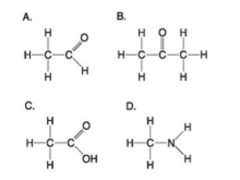 Which molecule shown above has a carbonyl functional group in the form of a ketone? A