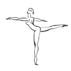 Which muscle extends the thigh (lifts the leg up behind you) as in an arabesque?