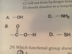 Which of the groups above is an acidic functional group that can dissociate and release H+ into a solution?