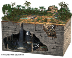 Which of these four numbered features on the surface or in a cave are formed by the precipitation of calcium carbonate, due to the evaporation of water?