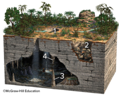 Which of these four numbered features on the surface or in a cave can be formed by the dissolution or collapse of limestone?