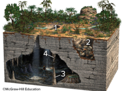 Which of these four numbered features on the surface or in a cave is a stalagmite?