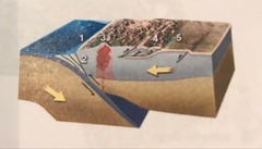 Which of these numbered features is a fold and thrust belt?