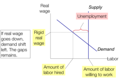 Why can't real wage ever clear the market? Why is this important?